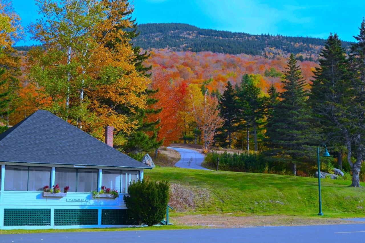 The Lodge At Jackson Village Екстериор снимка